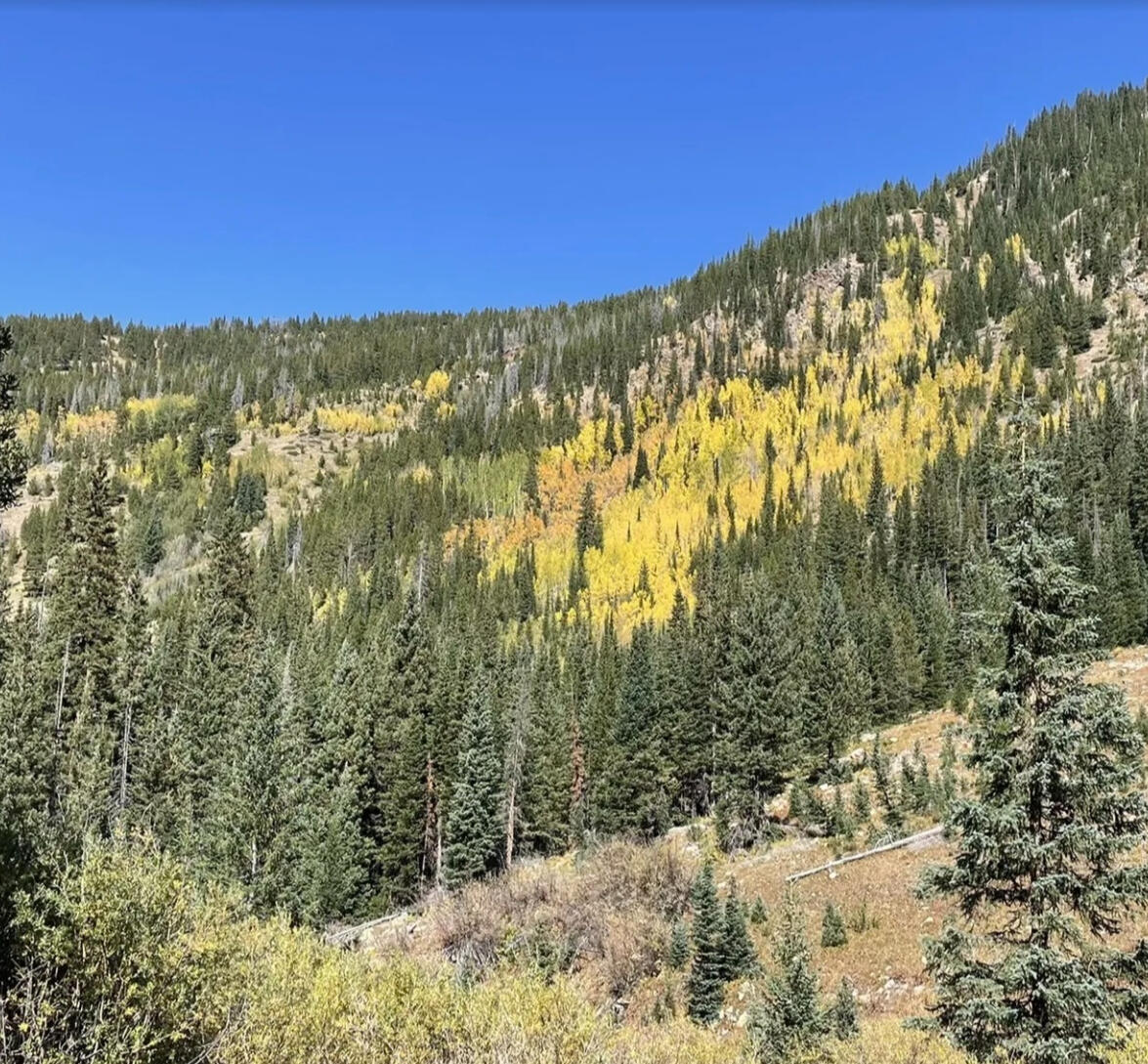 Master Bath Master Bath